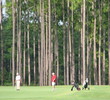 Lakes Golf Course at Laura Walker State Park
