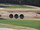 Mount Vintage - Augusta