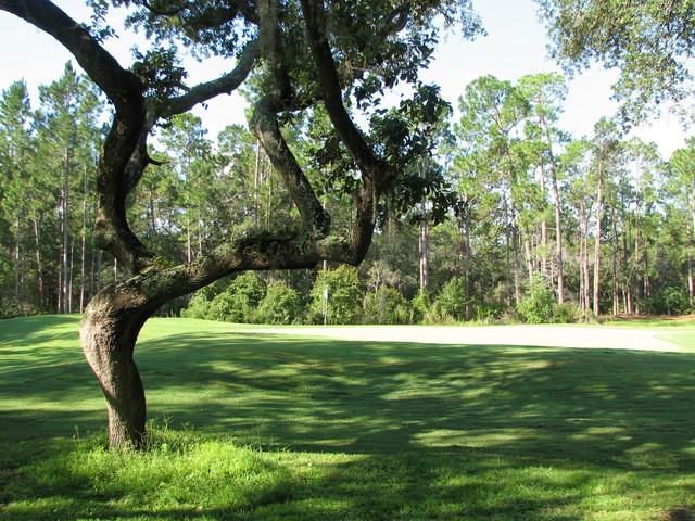 Okefenokee Country Club - Old Oaks