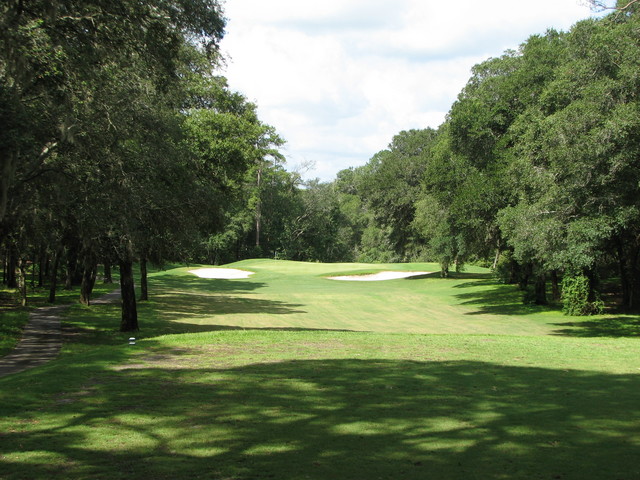 Okefenokee Country Club - No. 14