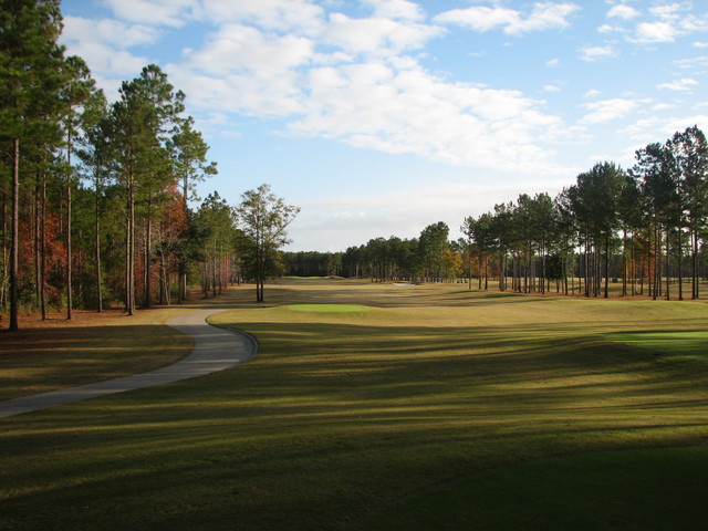 Coastal Pines Golf Club - Pine Forest