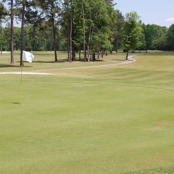 Riverview Park Golf Course in Dublin