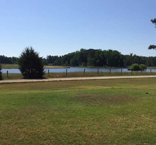 Cedars Golf & Country Club in Zebulon