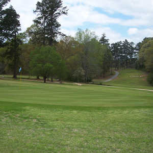 Pine Needles CC