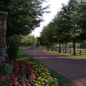 Barnsley Gardens R - The General