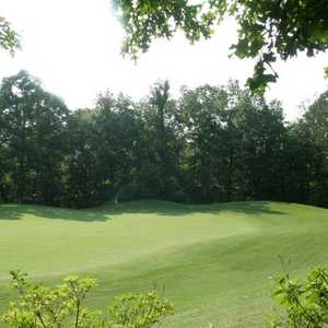 Lion GC