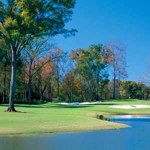 The Georgia C: #7