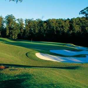 The Georgia C: #8