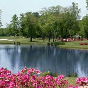 The Georgia C: #7