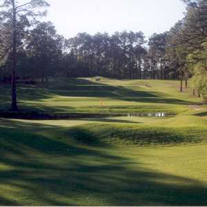 Forest Heights CC: #6