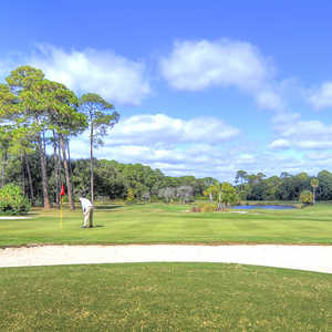 Jekyll Island GC - Oleander