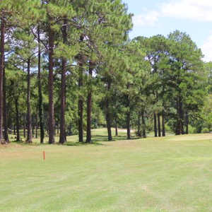 Twisted Pine GC