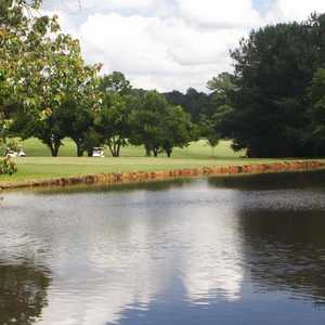 Dogwood GCC