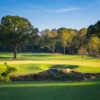 View of the 7th green from The Azalea Nine at Bobby Jones Golf Course.