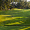 A view of a fairway at the Country Club of the South (ClubCorp).