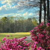 A view from Bear Creek Golf Club.