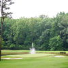 A view of green #9 at Lake View Nine from Marietta Country Club