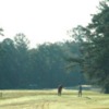A sunny day view from Fort Benning Golf Course