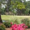 A view from the Cherokee Pines Golf and Fitness Club