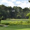 A view from Brazell's Creek Golf Course