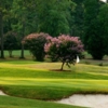 View of a green at Forest Hills Golf Club