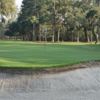 A view of green #11 at Savannah Country Club.