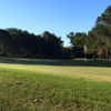 A of a green at Hickory Hill Golf Course (Steve Boyd)