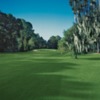 A view from a fairway at Savannah Golf Club