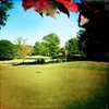 A view of green at Fox Creek Golf Club
