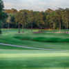 Looking back from a green at Lake Spivey Golf Club