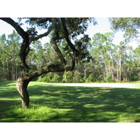 The Okefenokee Country Club in Blackshear, Georgia, is laid out on classic, south Georgia terrain. 
