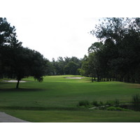 The 10th hole at the Okefenokee Country Club is straight but squeezed by trees overhanging the fairway. 