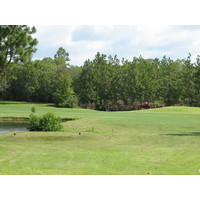 No. 11 at the Okefenokee Country Club is a dogleg left, with water on both sides of the fairway. 