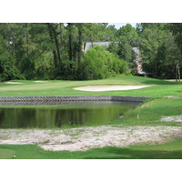 No. 17 at the Okefenokee Country Club is a par 3 over water. 