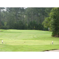 No. 3 at the Lakes Golf Course at Laura Walker State Park in Waycross, Ga., is framed nicely by pines. 