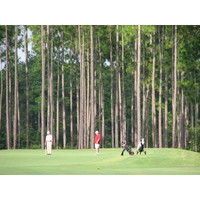 The Lakes Golf Course at Laura Walker State Park in Waycross, Ga., is lined with pine trees. 