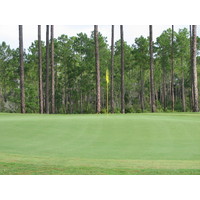 The greens at the Lakes Golf Course at Laura Walker State Park in Waycross, Ga., are generally in excellent shape. 