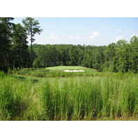 The seventh hole on the Cove nine at Reynolds Plantation's National golf course is a beautiful par 3 down to a green with runoff in every direction.