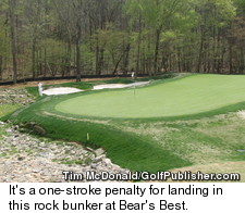 Atlanta - Bear's Best Golf Course