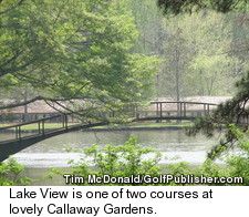 Atlanta - Lake View