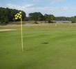 Greens at Jekyll Island Golf Club